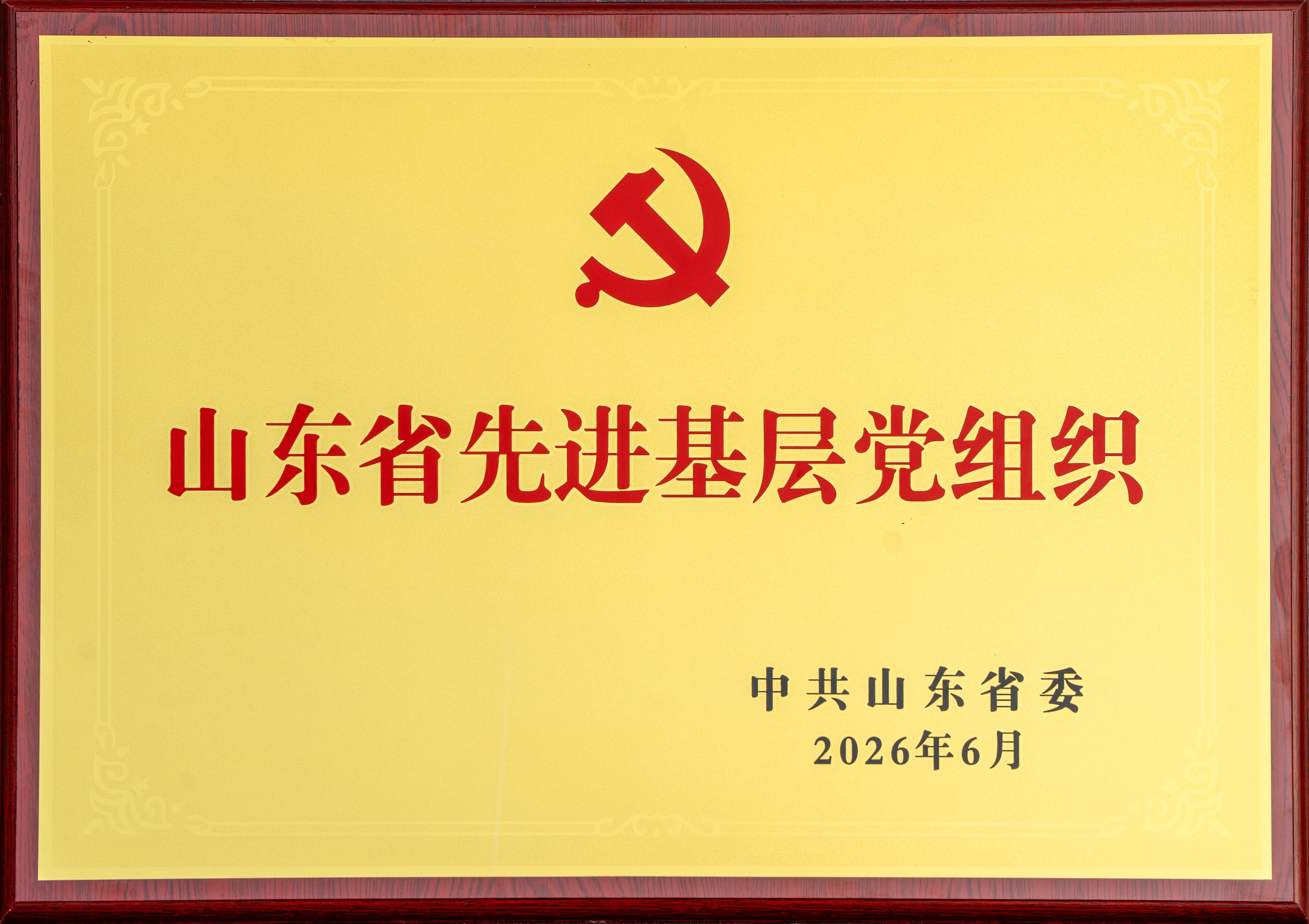 2026.6山东澳门澳门太阳成城成城股份有限公司文化用纸事业部党支部荣获“山东省先进基层党组织”奖牌.jpg
